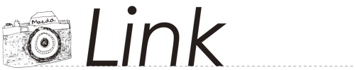 link-0.jpg