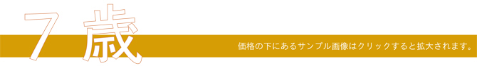 78DCE-1.jpg